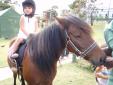 A cheval