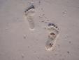 Les seules traces qu'il faut y laisser