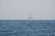 Constante sous voiles