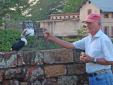 Serge et son toucan