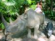Au Zoo