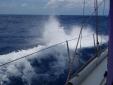Constante en route voile et moteur pour Jacare