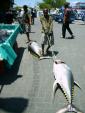Maldiviens avec 2 thons