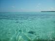 Eau des maldives