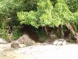 La plage d'Abrao
