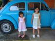 Blue Bettle