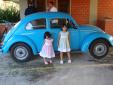 Blue Bettle