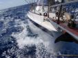 En voyage vers la Guyane 