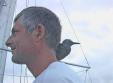 Mon pote l'oiseau