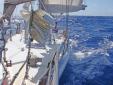 En voyage vers la Guyane 