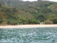 Cajaiba