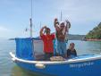 Les pÃªcheurs de saco da Velha