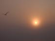 Retour vers Rio dans la brume