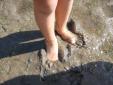 Les pieds dans la vase de Saco de Ceu