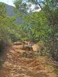 Carmen et Julie sur le chemin de Lopes Mendes
