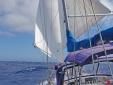 Combinaison de voiles adoptÃ©e pour St HÃ©lÃ¨ne