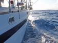 sous voiles je suis presque dans l'eau