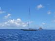 Une aiguille marine
