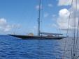 Une aiguille marine