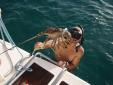 Franck relachera cette langouste trop petite