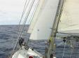 Toutes voiles dehors
