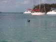 PÃ©lican relax