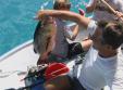 Snapper 10 kilos